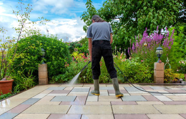 Best Driveway Pressure Washing  in Sonoma, CA